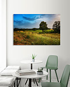 Obraz Rodná zem zs1254